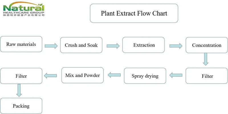 flow chart