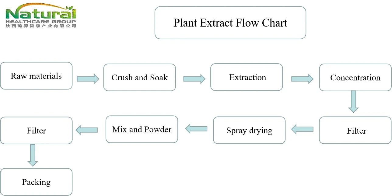 flow chart