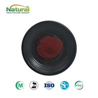 Borůvkový ovocný prášek