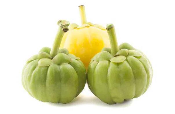 Má Garcinia Cambogia extrakt prášek 60% pomáhá při hubnutí?