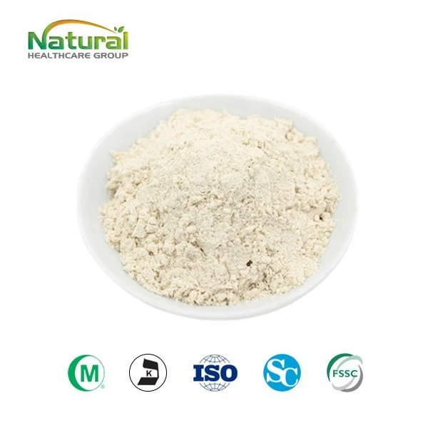 Poria mycelium prášek