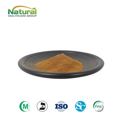 Organický extrakt z houby Chaga